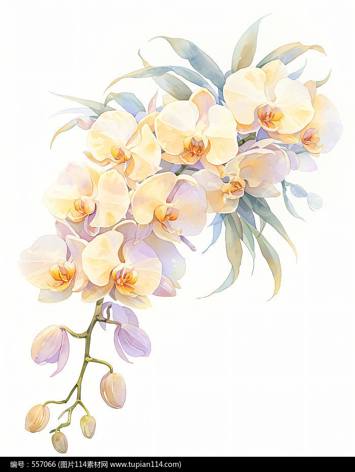 Լֲز