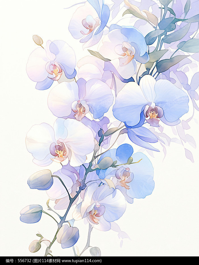 ֲ