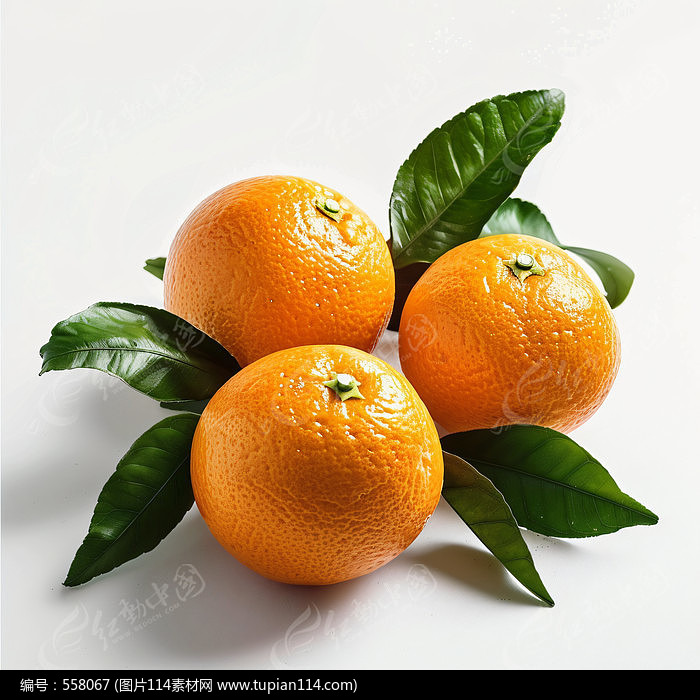 ӸͼƬ