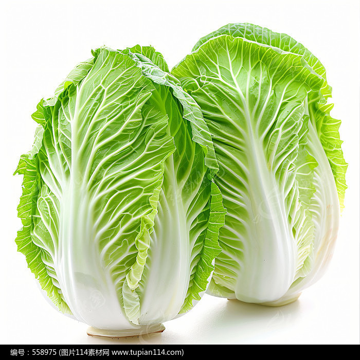 ʵĴײͼƬ