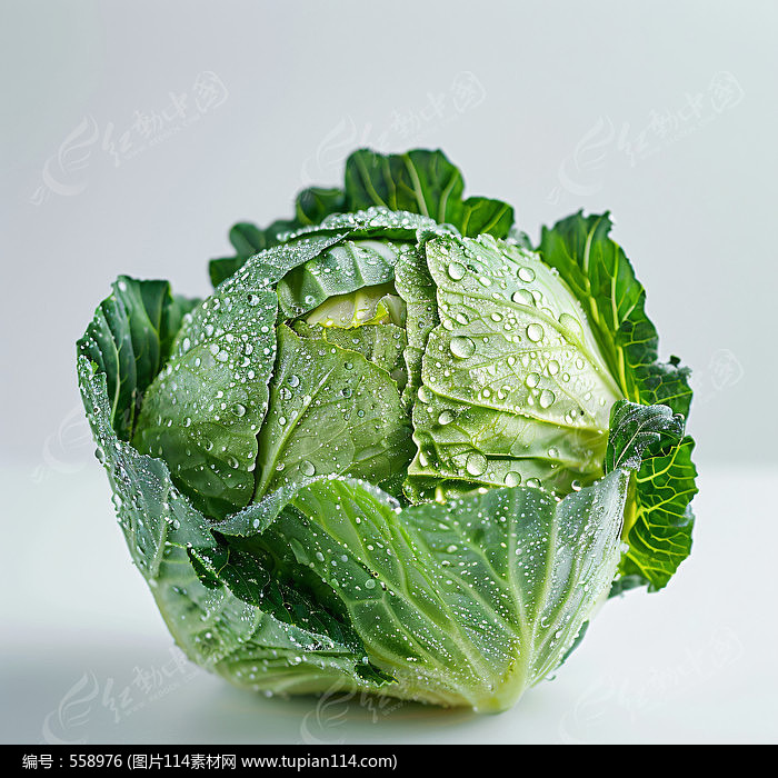 ˮİزͼƬ