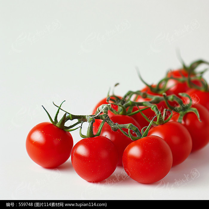 ʥŮ