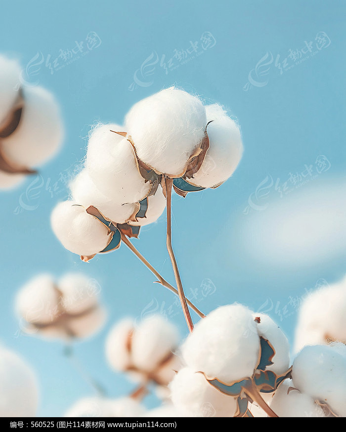 ޻ܱͼƬ
