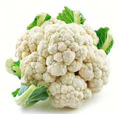 Ļ