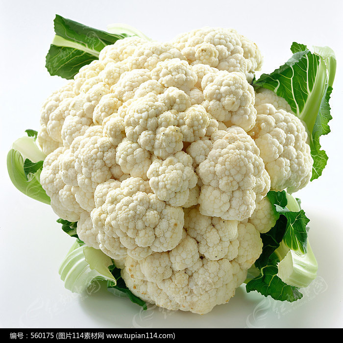 ժĻ
