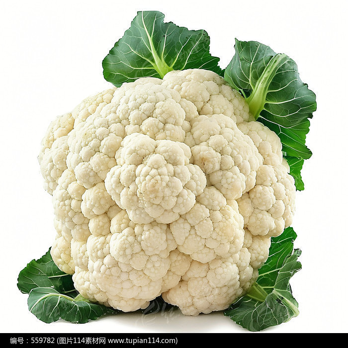 Ļ