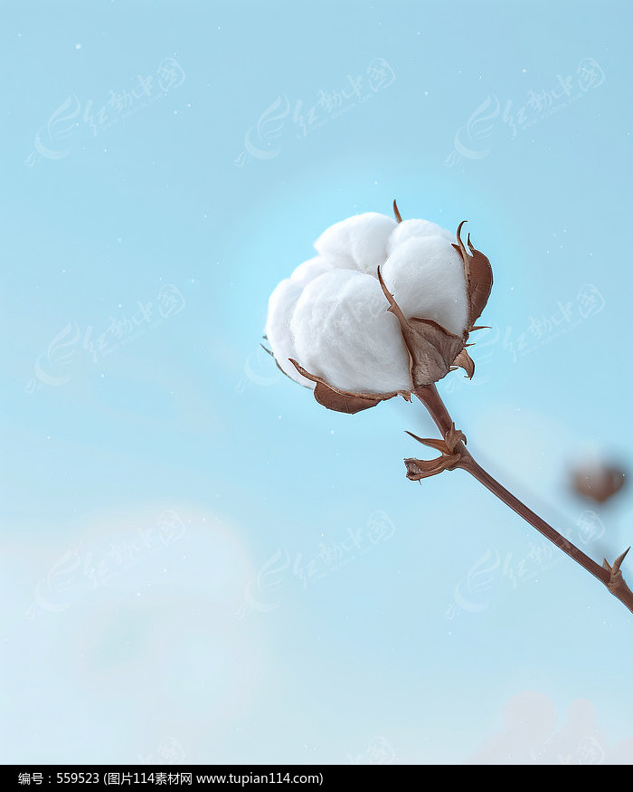 ޻ֲز