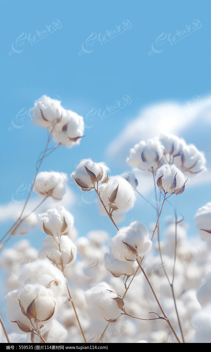 ½޻ܱز