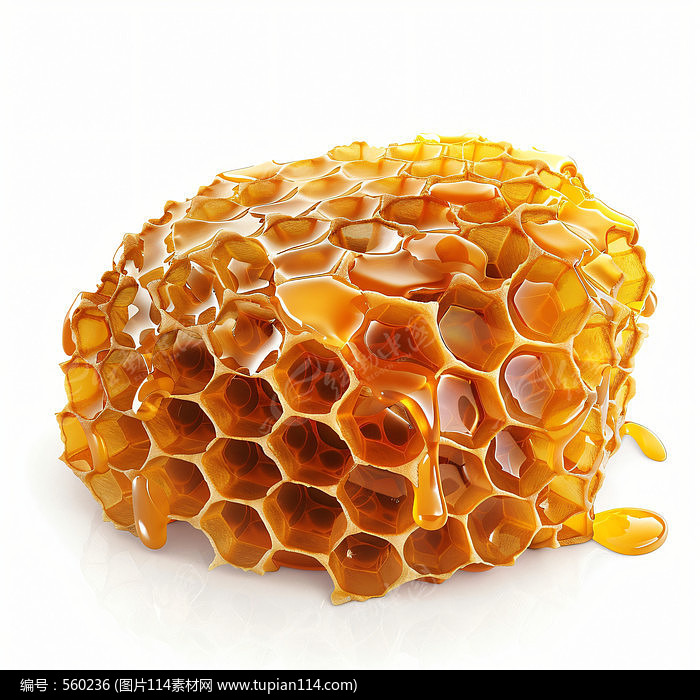 䳲ʳز