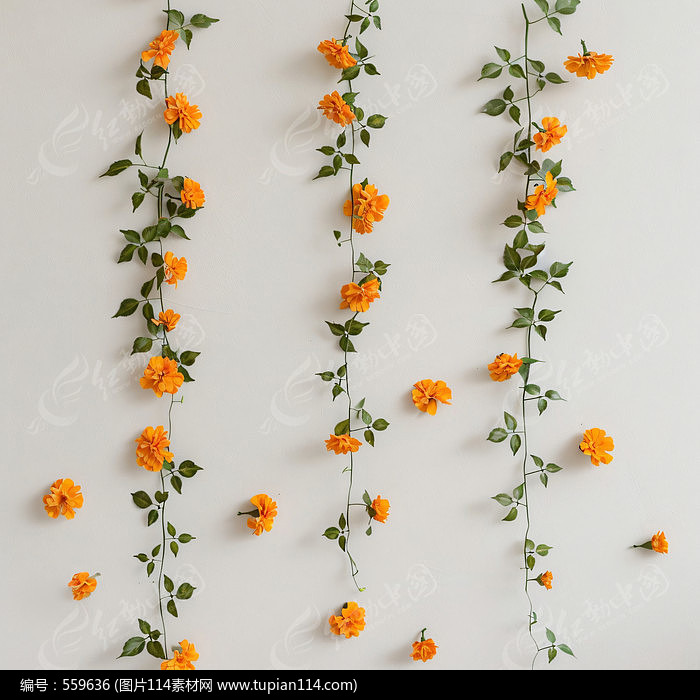 ǽʻ