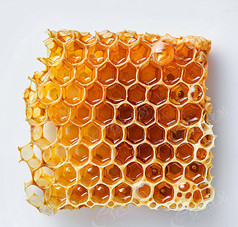 䳲ز