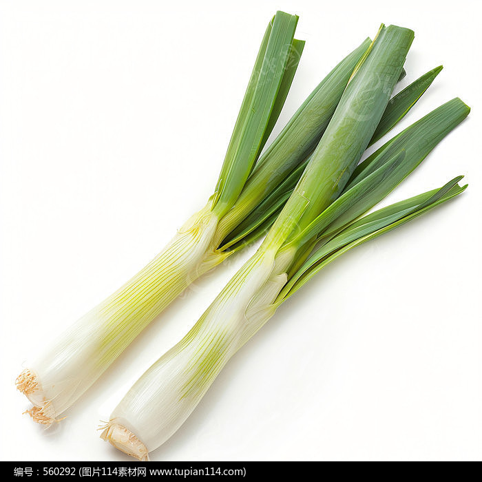 Ĵ