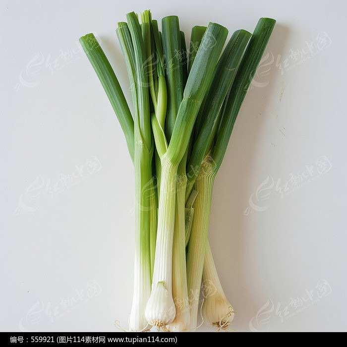 չʾͼƬ