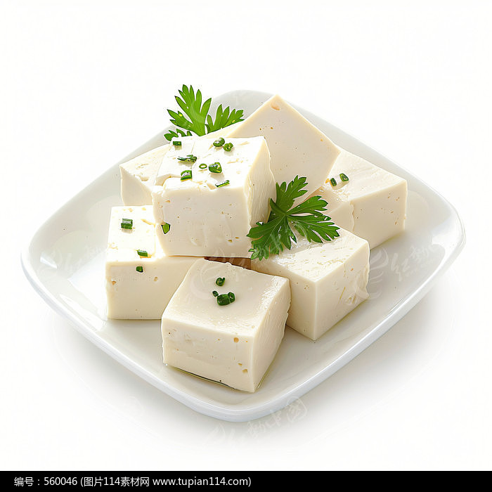 嵭ˬڵĶ