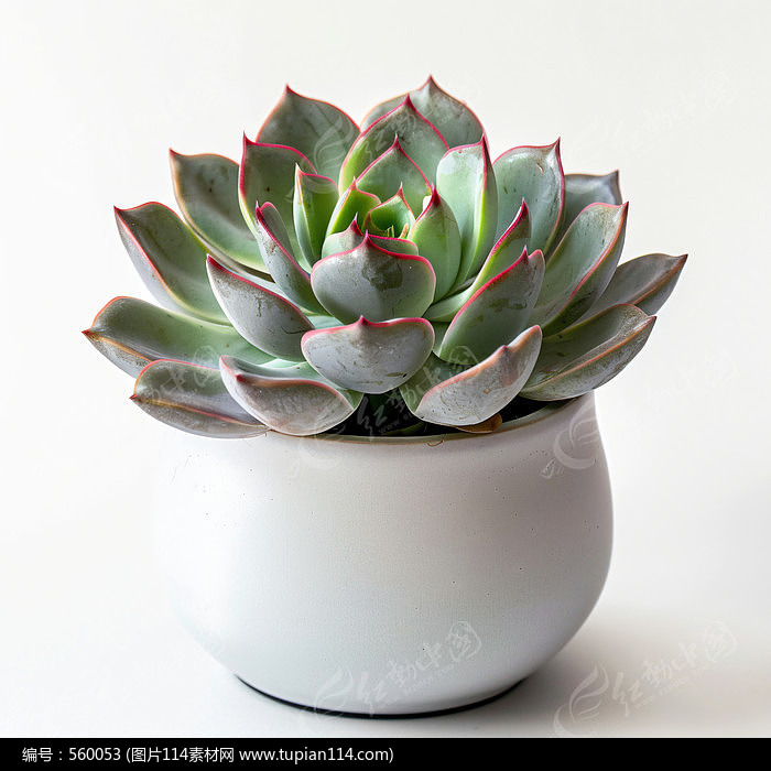 �ɱ��еĶ���