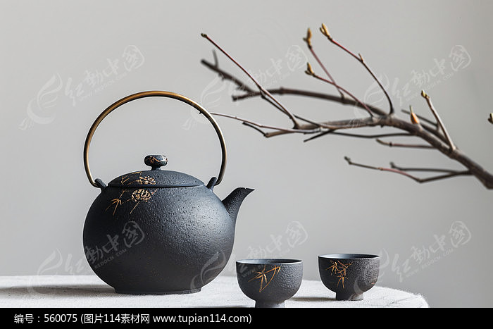 ����֦�Ͳ��