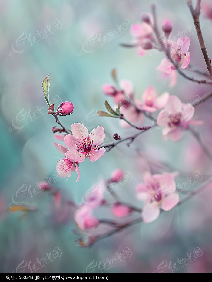۵ķɫ