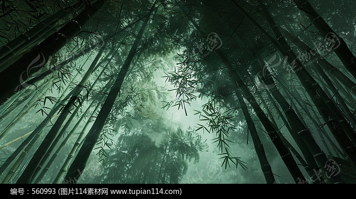 谵