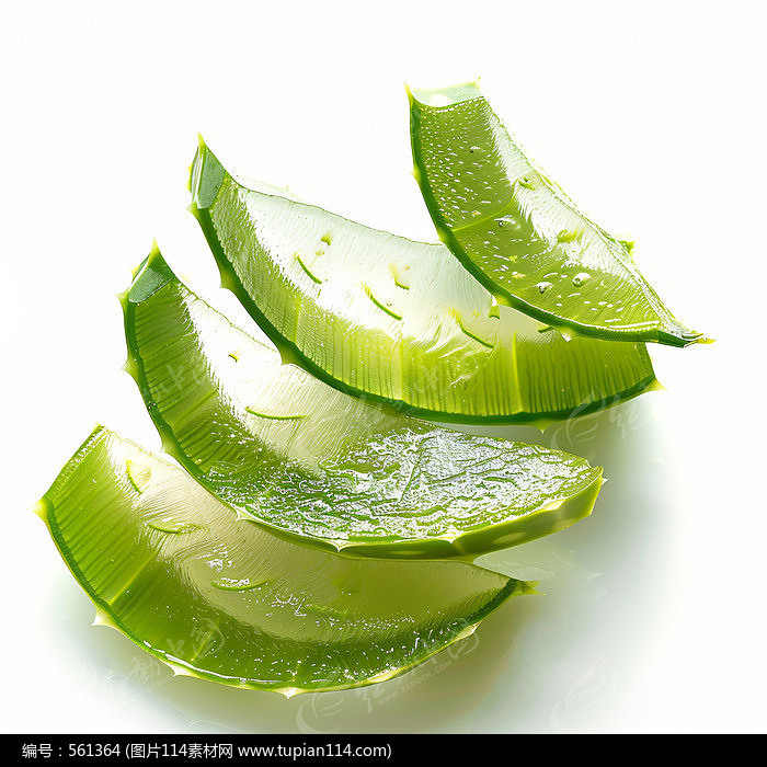 Ƭ«廭