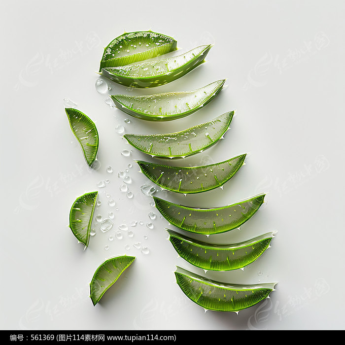 «ز