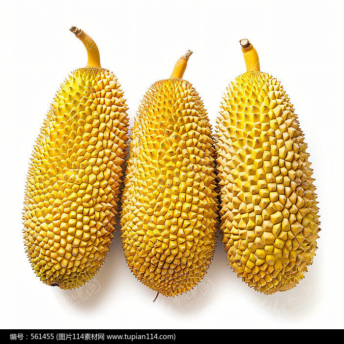 Ų