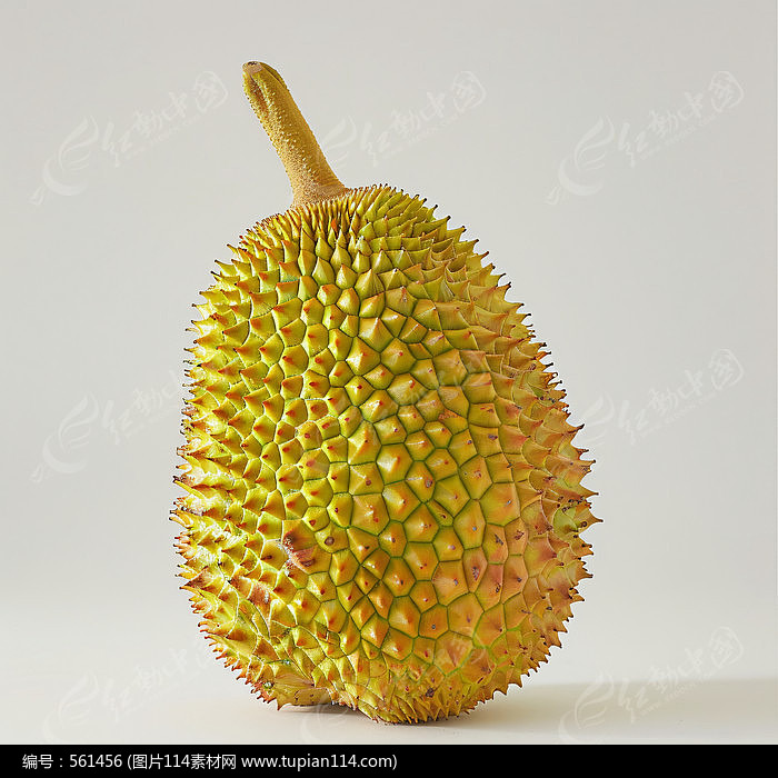 һŲ