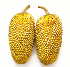 Ų