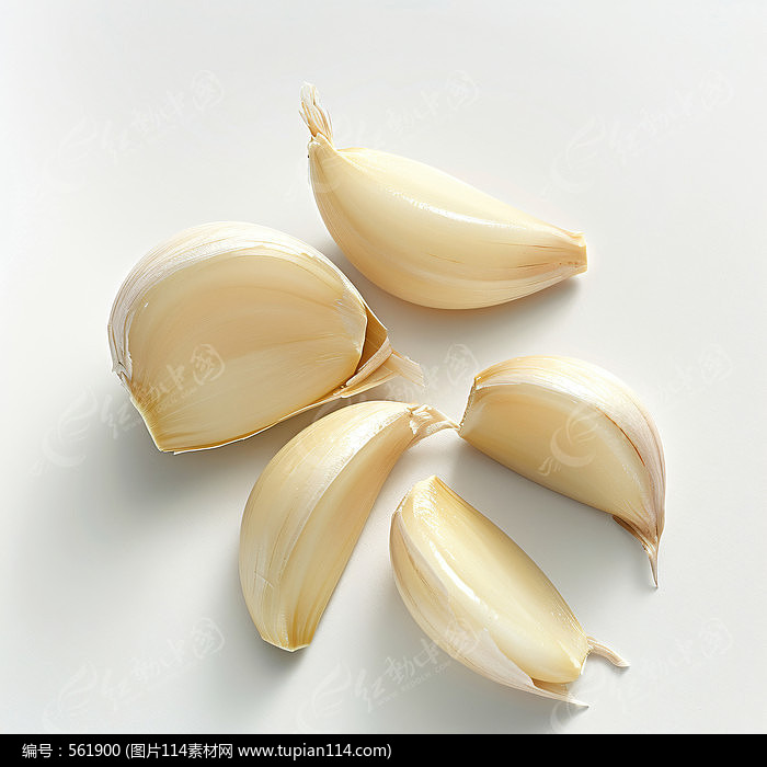 Ĵ