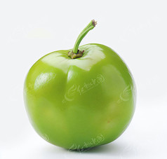 ɫͼƬ