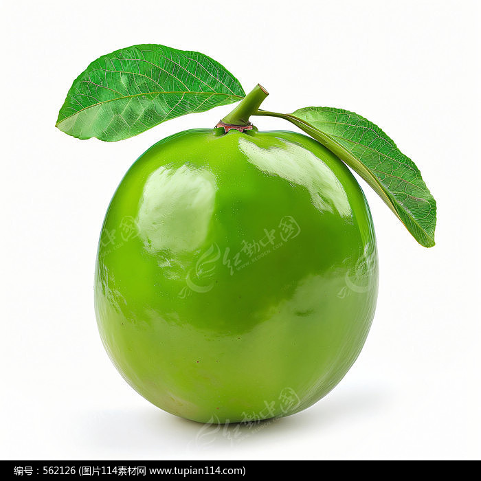 ͼƬ