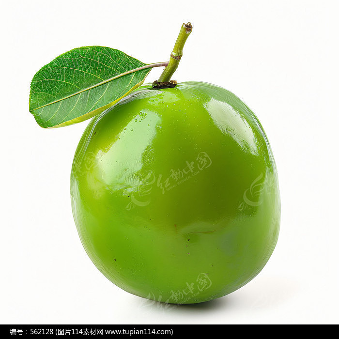 Ҷ廭