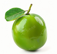 Ҷ廭