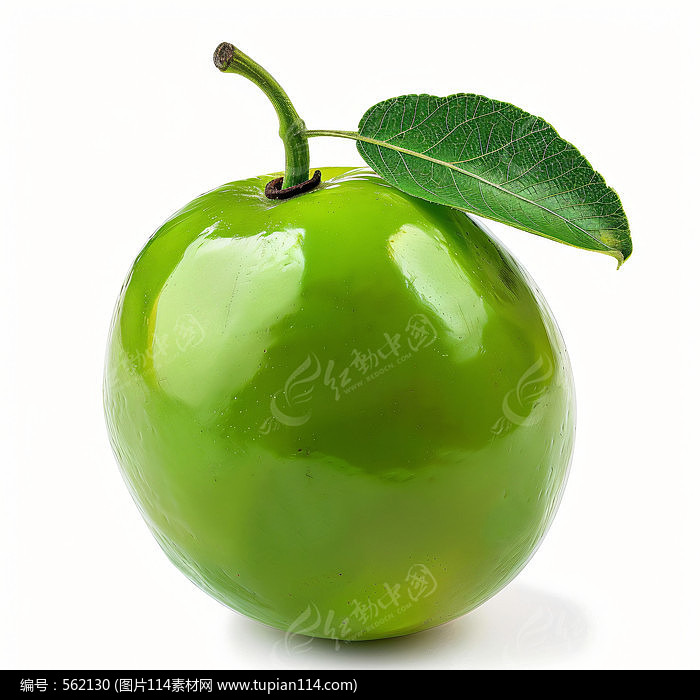 ɫˮͼƬ