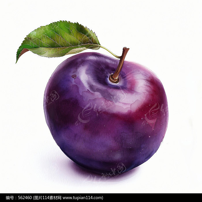 ӹͼƬ