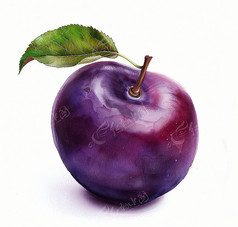 ӹͼƬ