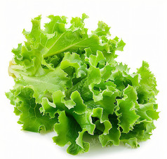 ʵɫ
