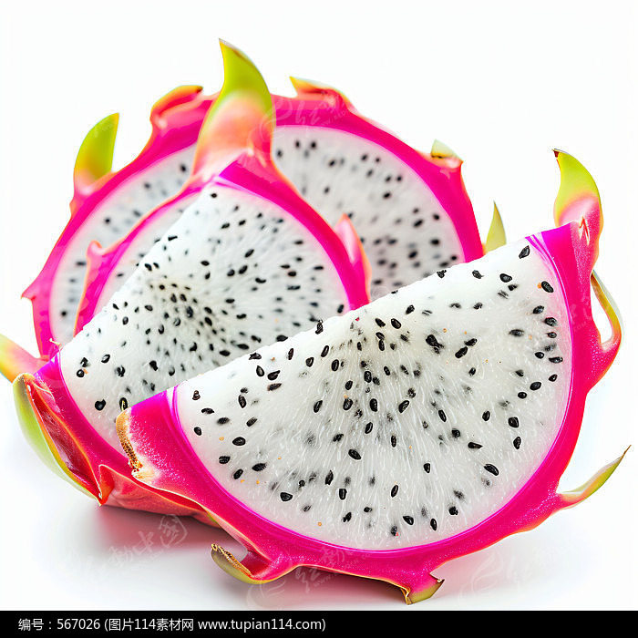 Ļ