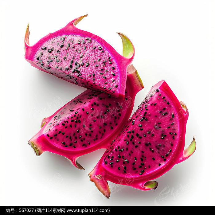 Ļ