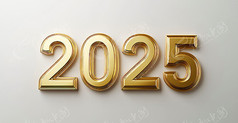 ɫ2025