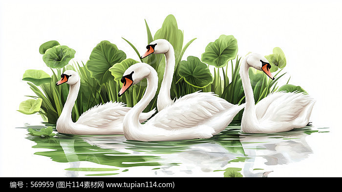 ںϷˮİ